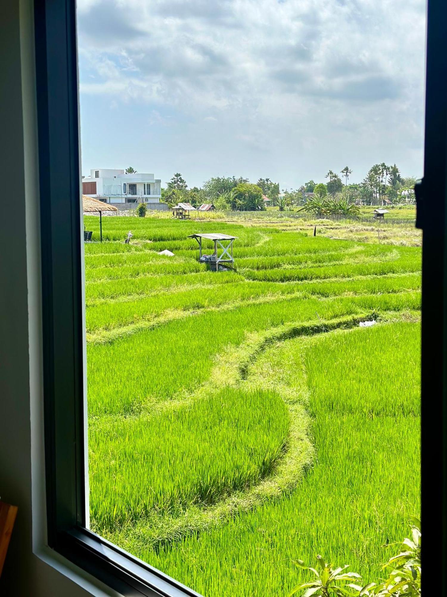 Villa In Seminyak Villa Mitra Dua Ricefield View Relax Kerobokan Kültér fotó